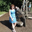 ���� ��������, ������, 52 ���� - ��������� 15 ������� 2014 � ������ ���� ����������