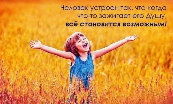 (  ,   - 8  2014  11:34