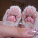 ���� �����, ������������ - ��������� 2 ���� 2014 � ������ ���� ����������