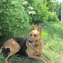 ���� ���������, ������������, 44 ���� - ��������� 30 ��� 2014 � ������ ������ ��������