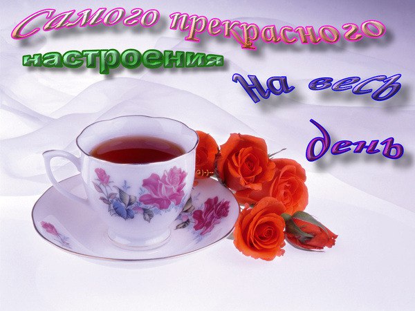  ( ) - 8  2014  17:47