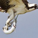 ���� �����, ����� - ��������� 25 ���� 2014 � ������ ���� ����������