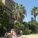  Svetlana, , 59  -  15  2014    2013