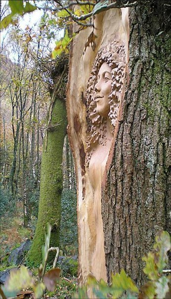 Tree Art - 6