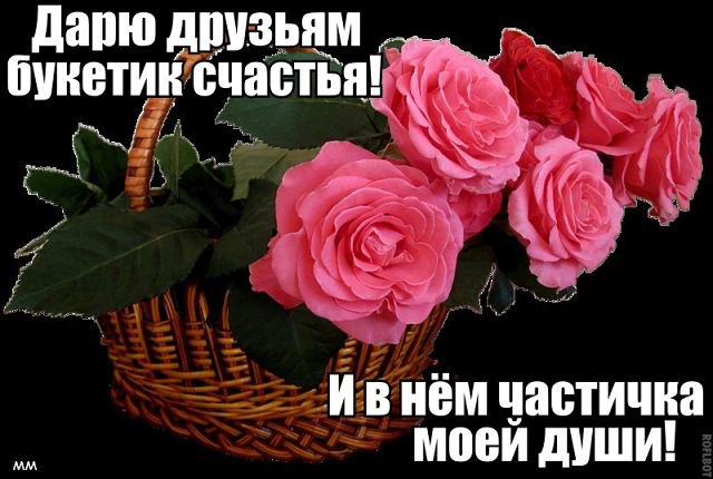  - 23  2014  03:11