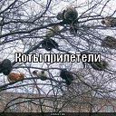 ���� ����������, ���� - ��������� 7 ������� 2014 � ������ ���� ����������