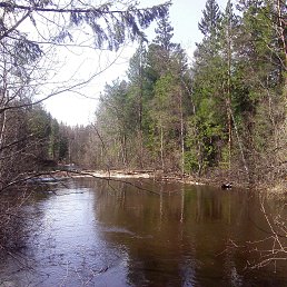 ���� ������, ������, 49 ��� - ��������� 8 ��� 2014