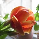 ���� �����, ������ - ��������� 24 ��� 2014 � ������ ������ ��������