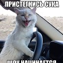  ,  -  13  2014    