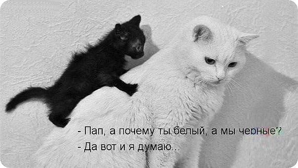  - 2  2014  15:40