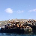 ���� ������, ������, 66 ��� - ��������� 12 ��� 2014 � ������ ��.�������.�