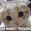 ���� �����, ������������ - ��������� 5 ������ 2014 � ������ �������, ���� ������� ��������.�