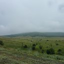  , , 49  -  5  2014      5 