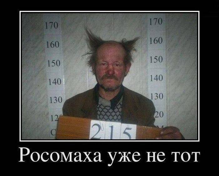  - 4  2014  12:16