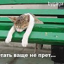 ���� ������, ������� - ��������� 16 ���� 2014 � ������ ���� ����������