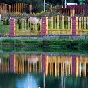 ���� �����, �����, 64 ���� - ��������� 21 ������� 2014 � ������ ������Ż