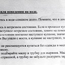 ���� ��������, ��������, 63 ���� - ��������� 8 ������� 2014 � ������ ������ ��������
