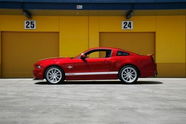 Shelby GT500 Super Snake - 4