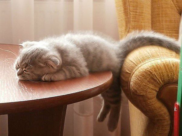 ����� � ���� ��������� ��...���� �� �����������... � ��� ��������� � ���� ���...��� �� �� ...