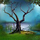 ������ ������� ����� �� ������� ������? ����� ���� ����: http://vk.com/my.garden �� ������� ���� ���� ������