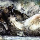 ���� ����, �������, 21 ��� - ��������� 24 ���� 2014 � ������ ���� ����������