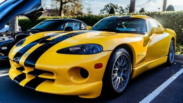 Dodge Viper