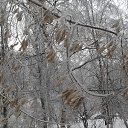  / _256, , 65  -  15  2014    Ȼ