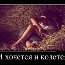  Alex, - -  23  2014    