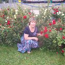 � ����� ������ ����� �� ������� ���� ����������