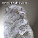 ���� �����, �����, 50 ��� - ��������� 13 ���� 2014 � ������ ���� ����������