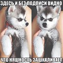 ���� ������, ����� - ��������� 7 ������ 2014 � ������ ���� ����������