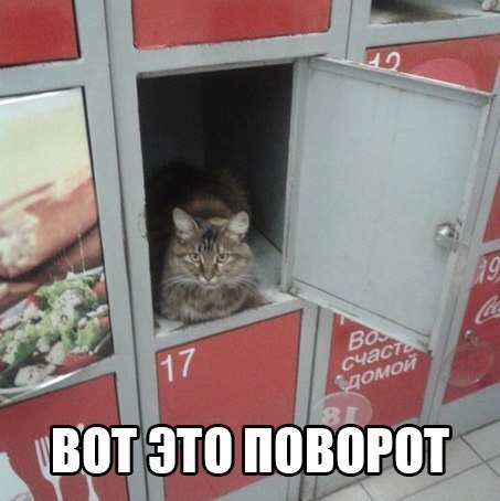   :3 - 5  2014  13:02