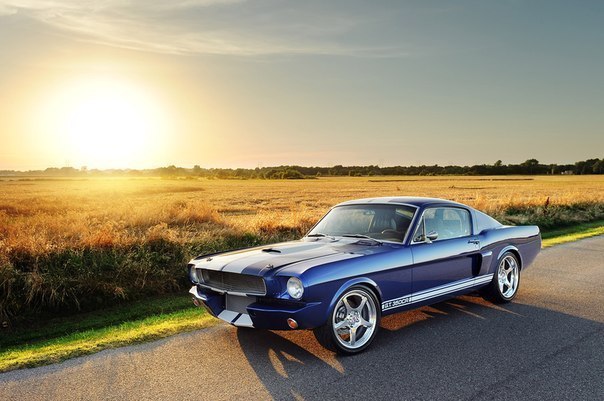 Shelby GT350CR - 3