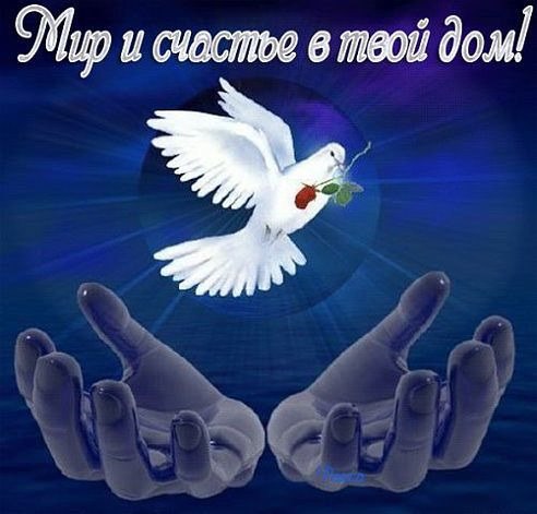     ...   ....     - ...