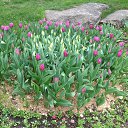 ���� ���������, ����, 53 ���� - ��������� 20 ������ 2014 � ������ ��������� ��������� ����-2014�