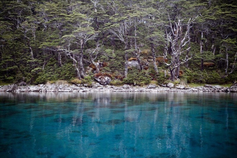   (Blue Lake) -       ,  