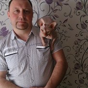 , 50 , 