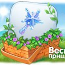 ���� �����, ����������, 36 ��� - ��������� 15 ����� 2014 � ������ ������ ��������