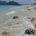     ,  -  18  2014    2013