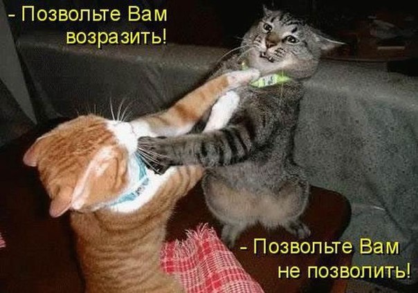  ,       ,    -  ר  ! ...