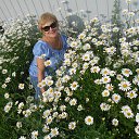 ���� �������, ������ - ��������� 27 ���� 2014 � ������ ���� ����������