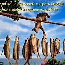 ���� Madam, �����-��������� - ��������� 24 ���� 2014 � ������ ������ ��������