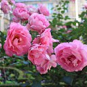 ���� �����, ������ �������� - ��������� 28 ���� 2014 � ������ �2014 ��