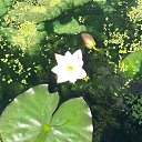 ���� �����, ���������, 68 ��� - ��������� 6 ������� 2014 � ������ ������ ��������