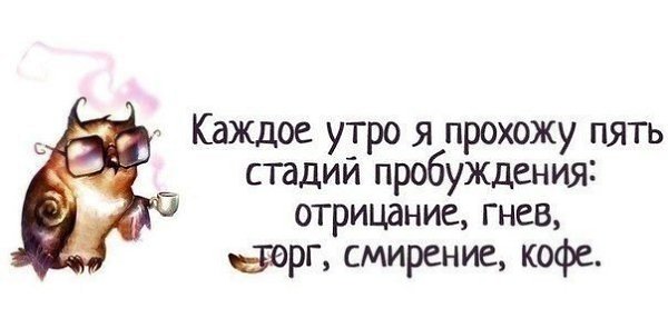  ( ) - 24  2014  02:28