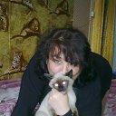 ���� ��������, ����������� - ��������� 13 ���� 2014 � ������ ���� ����������