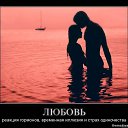  ,  -  3  2014    