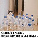 ���� ����, �����-���������, 34 ���� - ��������� 22 ���� 2014 � ������ ������ ��������