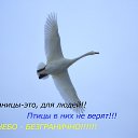 ���� ��������, �����������, 40 ��� - ��������� 17 ������ 2014 � ������ ������ ��������