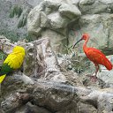 ���� ������, �����-���������, 78 ��� - ��������� 8 ���� 2014 � ������ ���� ����������